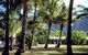 Clifton Palms - thumb 0