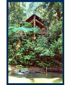 The Canopy Treehouses - Accommodation VIC 1