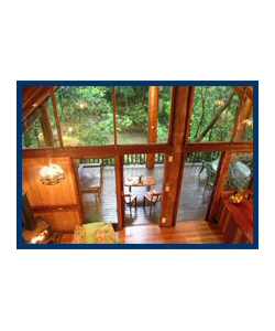 The Canopy Treehouses - Accommodation VIC 4