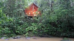 The Canopy Treehouses - Accommodation VIC 5