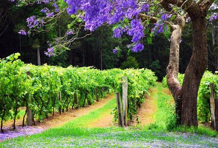 Wauchope NSW Accommodation VIC
