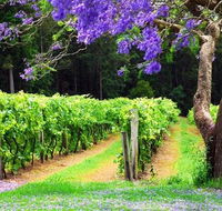 Bago Vineyards - Accommodation VIC