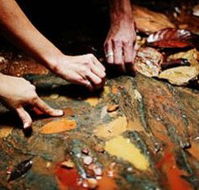 Daintree Eco Lodge And Spa - Accommodation VIC