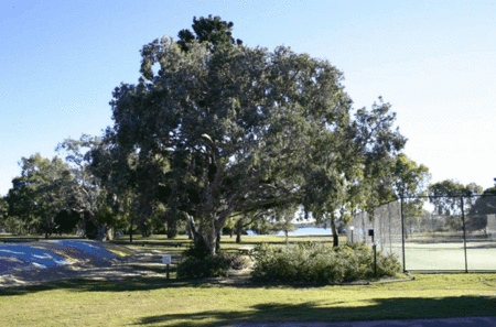 Coolwaters Holiday Village - Accommodation VIC 5