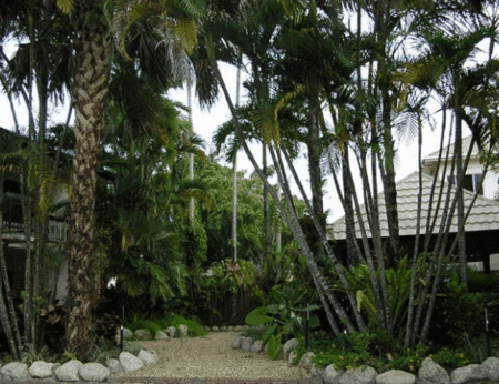 High Chaparral Motel And Apartments - Accommodation VIC 1