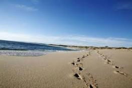 Kalbarri Palm Resort - Accommodation VIC 4