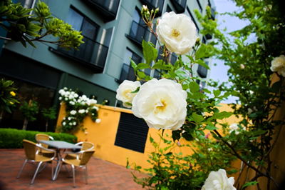 The Old Woolstore Apartment Hotel - Accommodation VIC 5