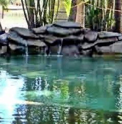 Douglas Daly Holiday Park - Accommodation VIC 2