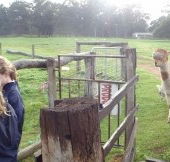 Boronia Farm Farmstay - Accommodation VIC