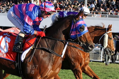 Quest Ascot - Accommodation VIC 4