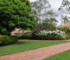 Barossa Weintal Hotel Motel - Accommodation VIC 2
