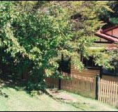 Apple Tree Cottage - Accommodation VIC