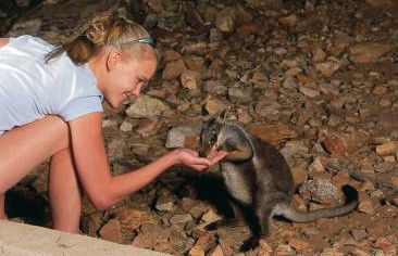 Heaviytrr Gap Outback Lodge - Accommodation VIC 5