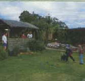 Tambo Lodge - Accommodation VIC