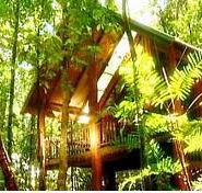 The Canopy Treehouses - Accommodation VIC