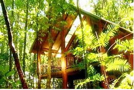 The Canopy Treehouses - Accommodation VIC 0