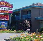 Strzelecki Motor Lodge - Accommodation VIC