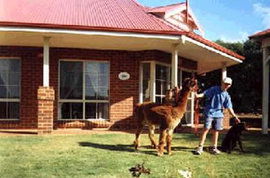  Accommodation VIC