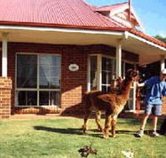 Brilea Cottages - Accommodation VIC