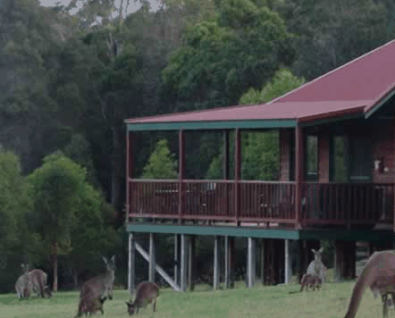 Walpole Wilderness Resort - Accommodation VIC