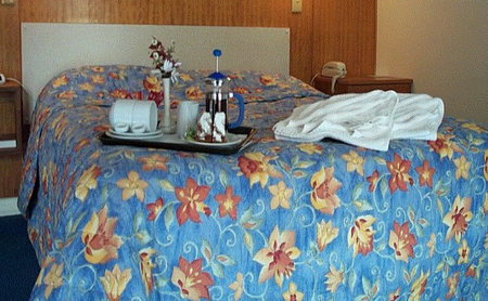 Bandicoot Motor Inn - Accommodation VIC 2