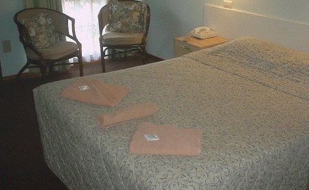 Bandicoot Motor Inn - Accommodation VIC 4