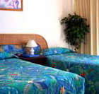 International Beach Resort - Accommodation VIC