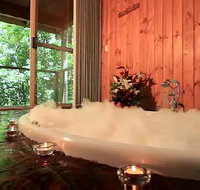 Tree Houses Of Montville - Accommodation VIC