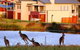 Grand Mercure The Vintage Hunter Valley - thumb 0