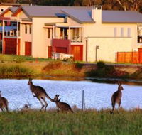 Grand Mercure The Vintage Hunter Valley - Accommodation VIC