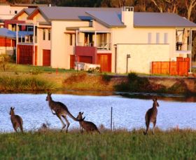 Grand Mercure The Vintage Hunter Valley - Accommodation VIC 0