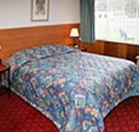 Mt Lyell Motor Inn - Accommodation VIC