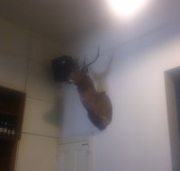 Union Hotel - Accommodation VIC