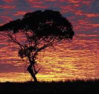 Kimba Caravan Park amp Motel - Accommodation VIC