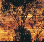 Tilmouth Well - Accommodation VIC