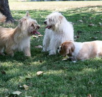 Durack Pet Motel - Accommodation VIC
