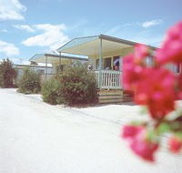 Eldorado Tourist Park - Accommodation VIC