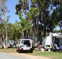 Elliston Caravan Park - Accommodation VIC