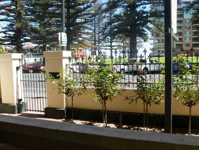 Grandview House Apartments - Accommodation VIC 5