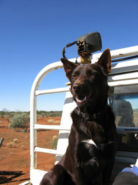 Wooleen Outback Station Stay - Accommodation VIC 2