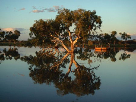Wooleen Outback Station Stay - Accommodation VIC 3