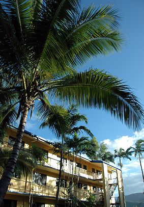 Palms At Trinity - Accommodation VIC 3