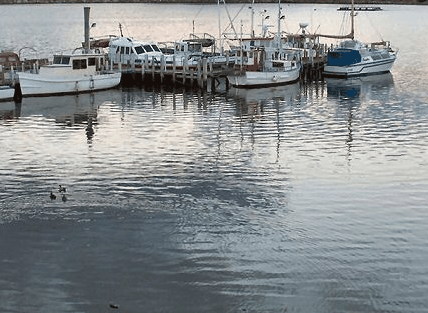 Hobart Apartments - Accommodation VIC 1