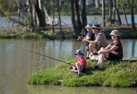 Berri Riverside Caravan Park - Accommodation VIC 3