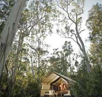 Paperbark Camp - Accommodation VIC