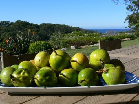 The Outlook Cabana - Accommodation VIC 8