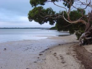 Stanley Lakeside Spa Cabins - Accommodation VIC 0