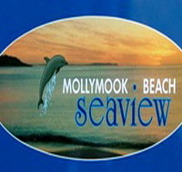 A Mollymook Beach Seaview - Accommodation VIC