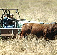 Bullo River Station - Accommodation VIC