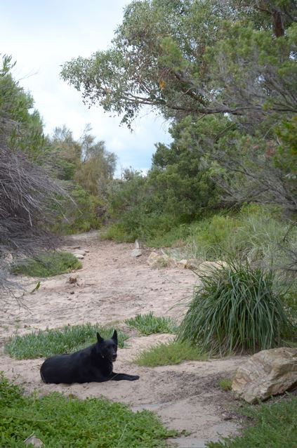Dune Hideaway - Accommodation VIC 3